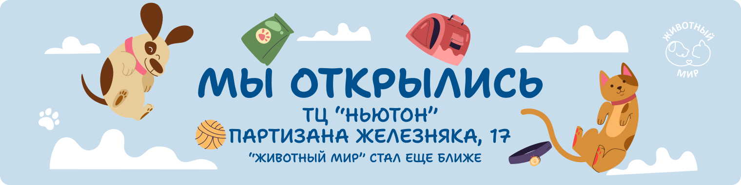 Открытие Парусная, 10